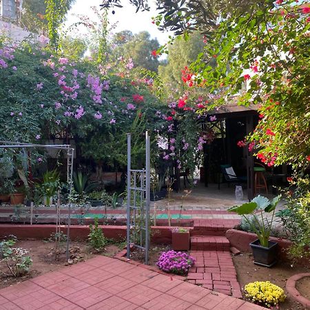 Betul Guest House Фамагуста Экстерьер фото