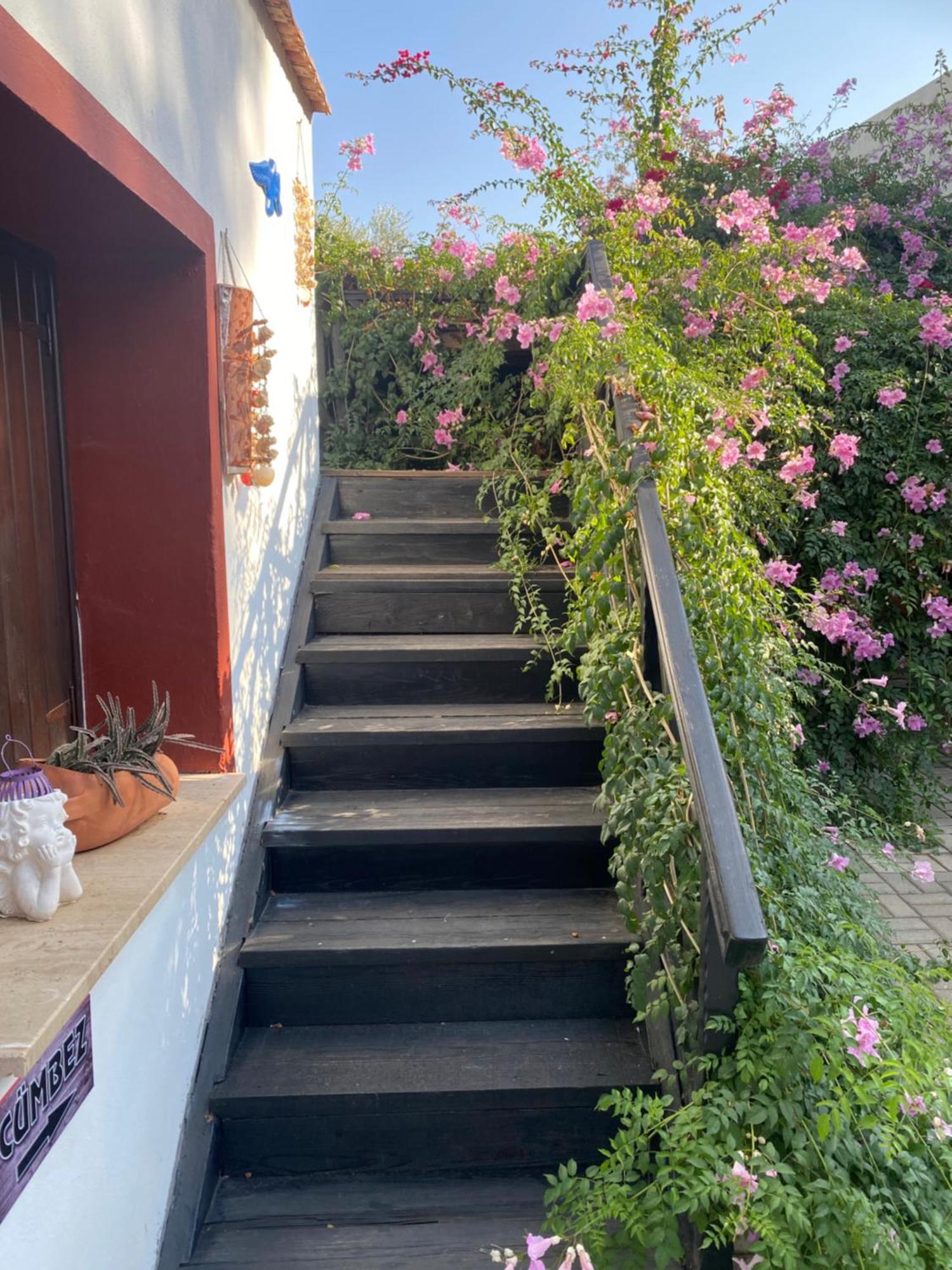 Betul Guest House Фамагуста Экстерьер фото