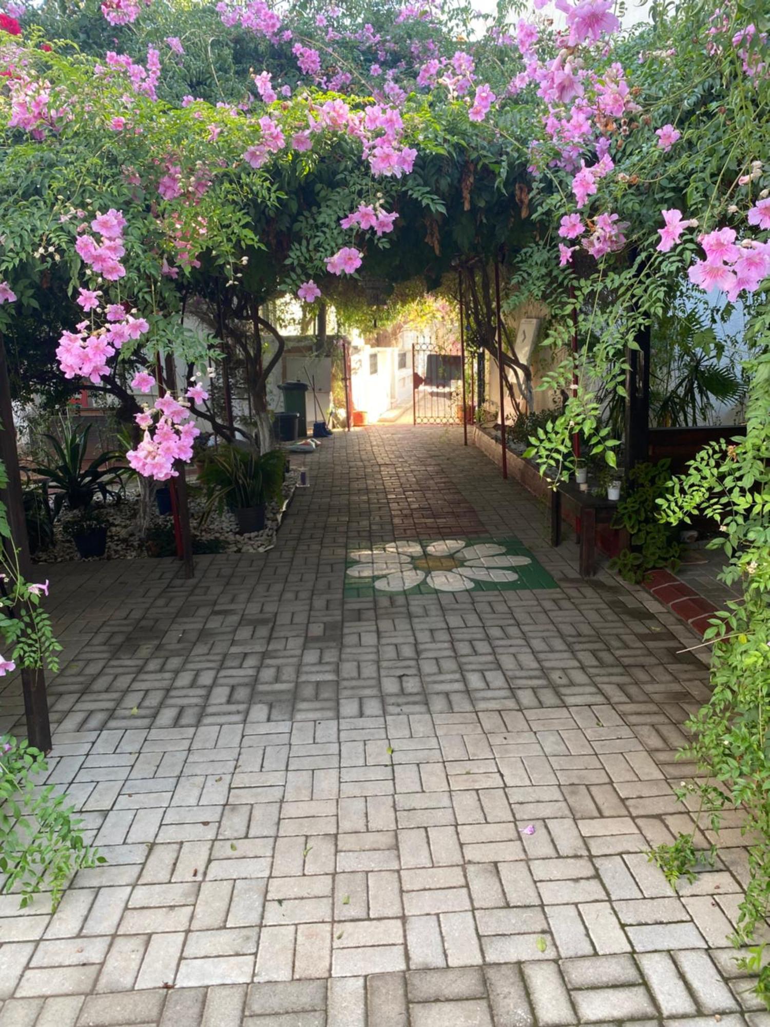 Betul Guest House Фамагуста Экстерьер фото