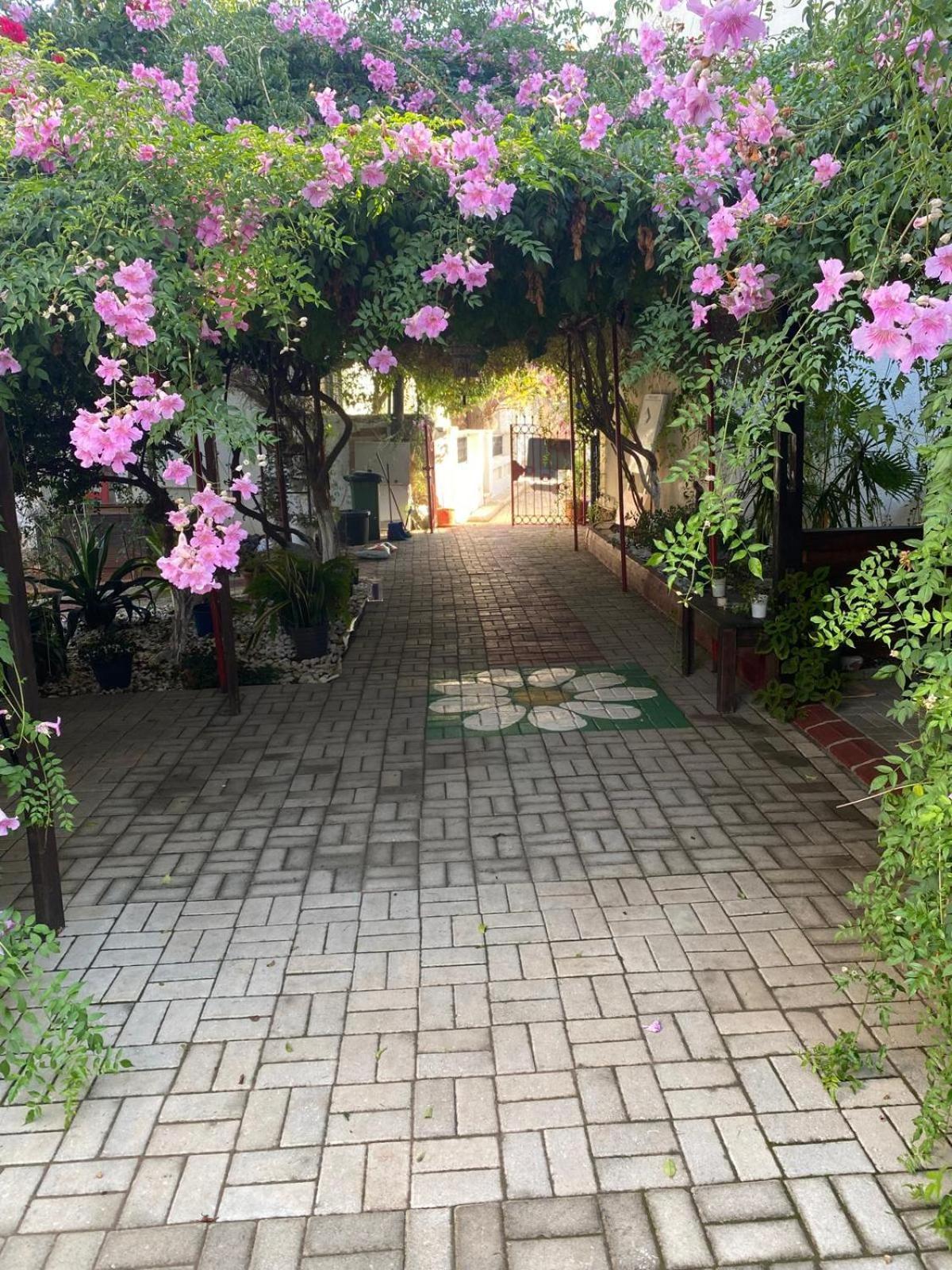 Betul Guest House Фамагуста Экстерьер фото